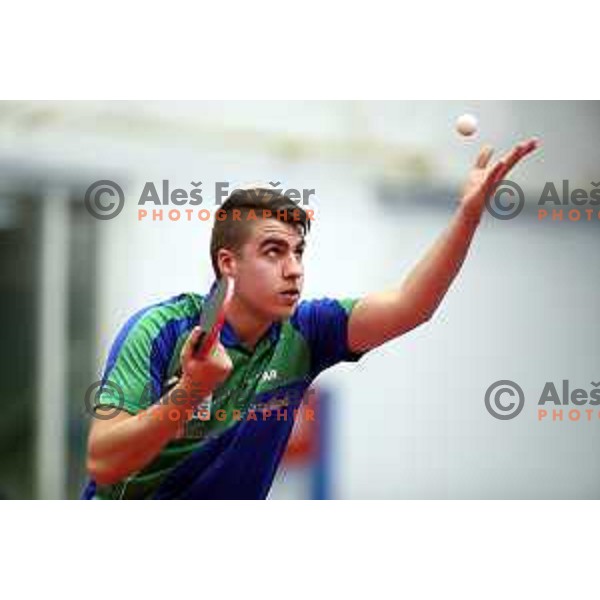 Darko Jorgic (SLO) in action during table tennis match between Slovenia and Belgium at Otocec Sports Centre, Slovenia on February 27, 2018