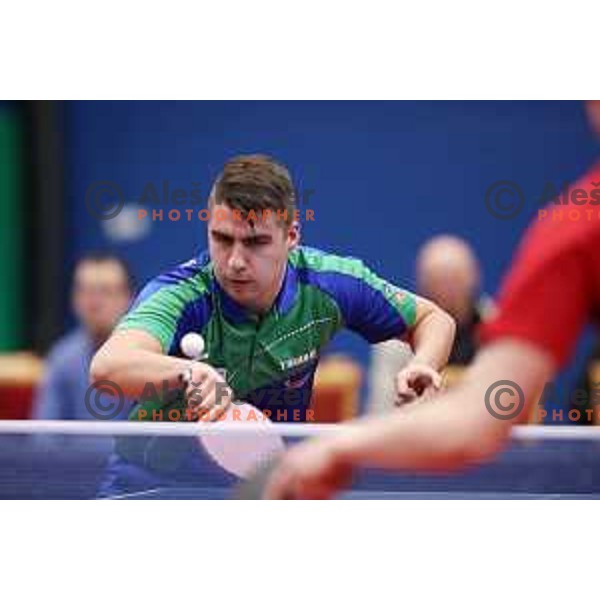 Darko Jorgic (SLO) in action during table tennis match between Slovenia and Belgium at Otocec Sports Centre, Slovenia on February 27, 2018