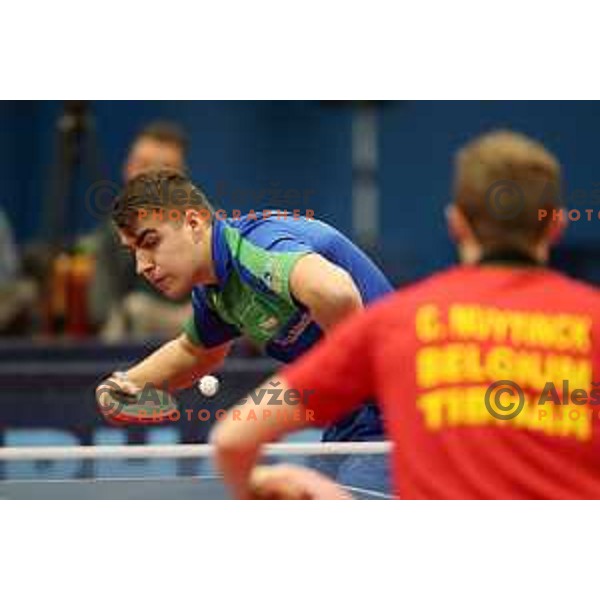 Darko Jorgic (SLO) in action during table tennis match between Slovenia and Belgium at Otocec Sports Centre, Slovenia on February 27, 2018