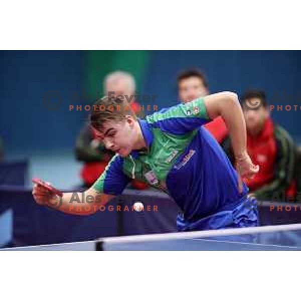 Darko Jorgic (SLO) in action during table tennis match between Slovenia and Belgium at Otocec Sports Centre, Slovenia on February 27, 2018