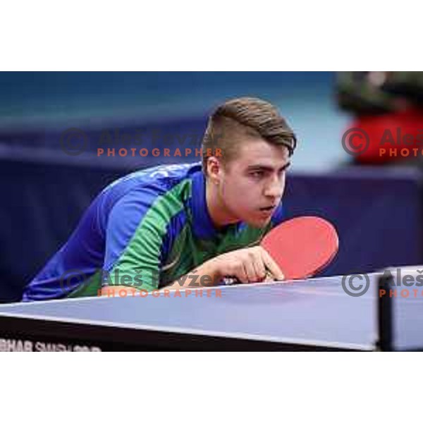 Darko Jorgic (SLO) in action during table tennis match between Slovenia and Belgium at Otocec Sports Centre, Slovenia on February 27, 2018