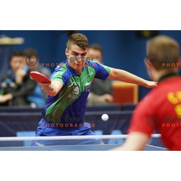 Darko Jorgic (SLO) in action during table tennis match between Slovenia and Belgium at Otocec Sports Centre, Slovenia on February 27, 2018