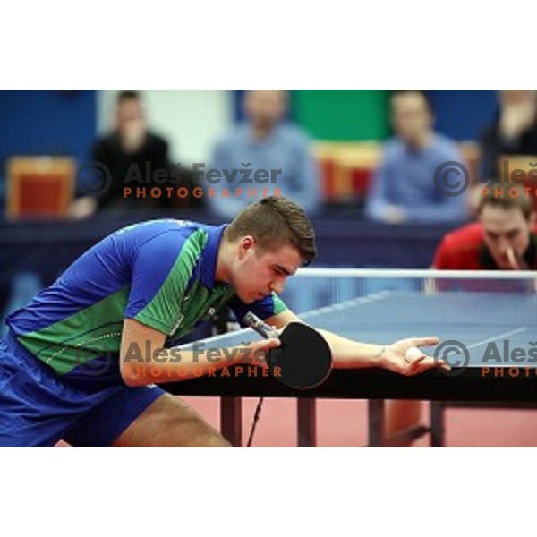Darko Jorgic (SLO) in action during table tennis match between Slovenia and Belgium at Otocec Sports Centre, Slovenia on February 27, 2018
