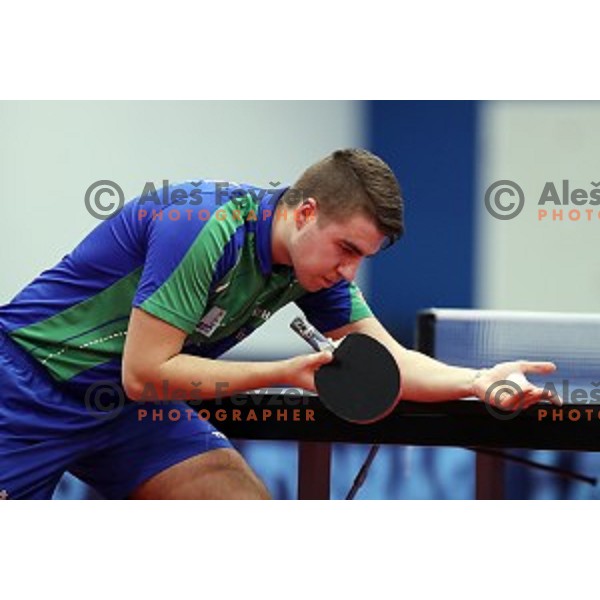 Darko Jorgic (SLO) in action during table tennis match between Slovenia and Belgium at Otocec Sports Centre, Slovenia on February 27, 2018