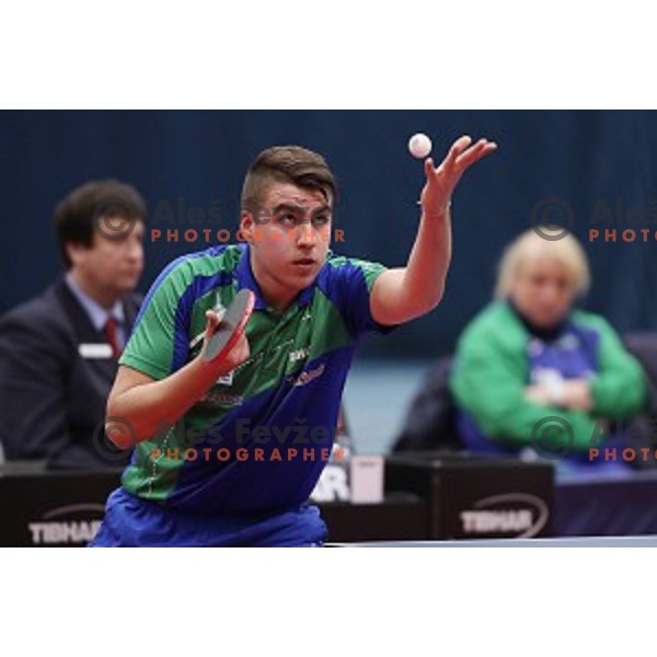 Darko Jorgic (SLO) in action during table tennis match between Slovenia and Belgium at Otocec Sports Centre, Slovenia on February 27, 2018