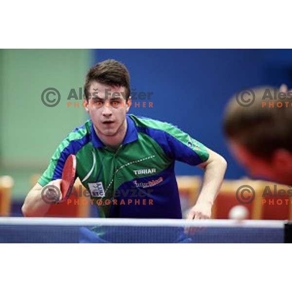 Deni Kozul (SLO) in action during table tennis match between Slovenia and Belgium at Otocec Sports Centre, Slovenia on February 27, 2018
