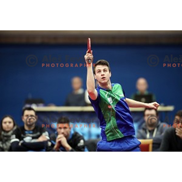 Deni Kozul (SLO) in action during table tennis match between Slovenia and Belgium at Otocec Sports Centre, Slovenia on February 27, 2018
