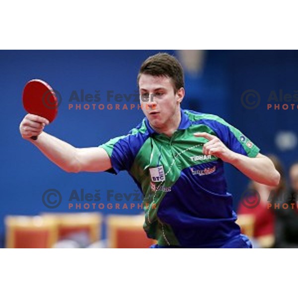 Deni Kozul (SLO) in action during table tennis match between Slovenia and Belgium at Otocec Sports Centre, Slovenia on February 27, 2018