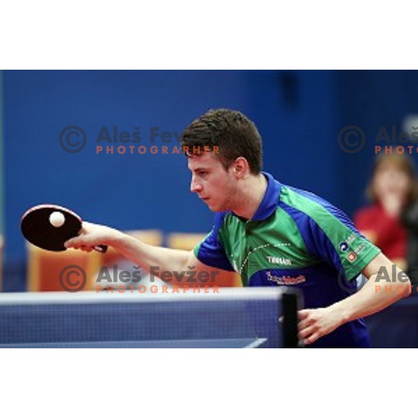 Deni Kozul (SLO) in action during table tennis match between Slovenia and Belgium at Otocec Sports Centre, Slovenia on February 27, 2018