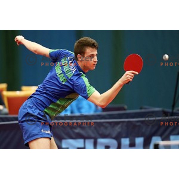 Deni Kozul (SLO) in action during table tennis match between Slovenia and Belgium at Otocec Sports Centre, Slovenia on February 27, 2018