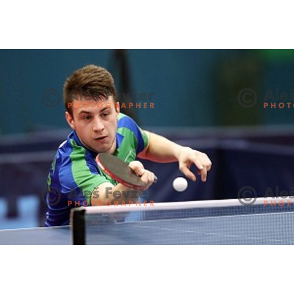 Deni Kozul (SLO) in action during table tennis match between Slovenia and Belgium at Otocec Sports Centre, Slovenia on February 27, 2018