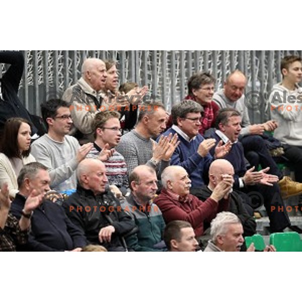 Slovenian fans at table tennis match between Slovenia and Belgium at Otocec Sports Centre, Slovenia on February 27, 2018