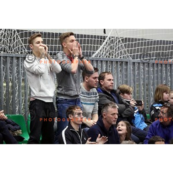 Slovenian fans at table tennis match between Slovenia and Belgium at Otocec Sports Centre, Slovenia on February 27, 2018
