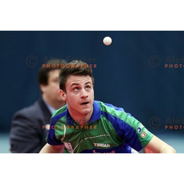Deni Kozul (SLO) in action during table tennis match between Slovenia and Belgium at Otocec Sports Centre, Slovenia on February 27, 2018