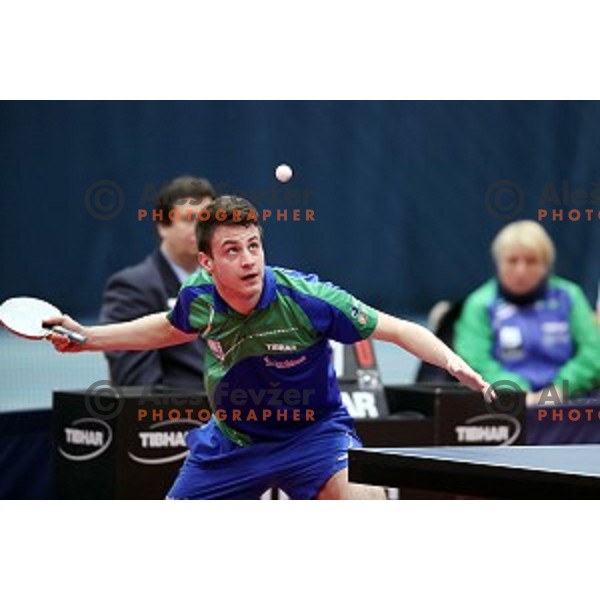Deni Kozul (SLO) in action during table tennis match between Slovenia and Belgium at Otocec Sports Centre, Slovenia on February 27, 2018