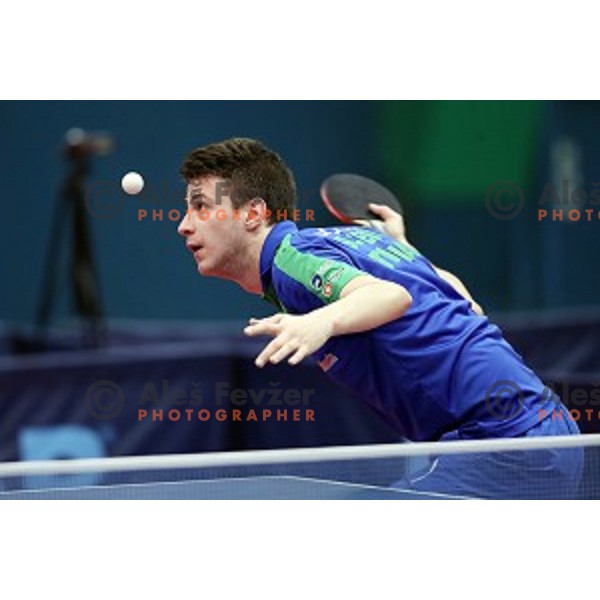 Deni Kozul (SLO) in action during table tennis match between Slovenia and Belgium at Otocec Sports Centre, Slovenia on February 27, 2018