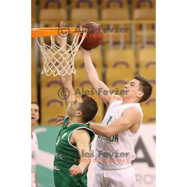 Aleksa Nikolic of Ilirija during Nova KBM league basketball match between Ilirija and Zlatorog Lasko in Tivoli Hall, Ljubljana, Slovenia on February 4, 2018