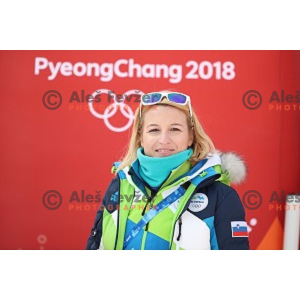 Alja Pahor at Snowboard Men\'s Parallel Giant Slalom at Phoenix Snow park during PyeongChang 2018 Winter Olympic Games, South Korea on February 24, 2018