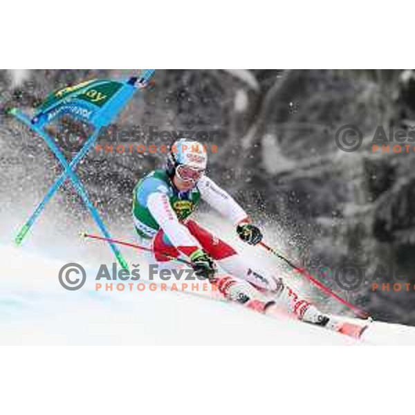 AUDI FIS World Cup Giant Slalom for 57. Vitranc Cup in Kranjska gora, Slovenia on March 3, 2018