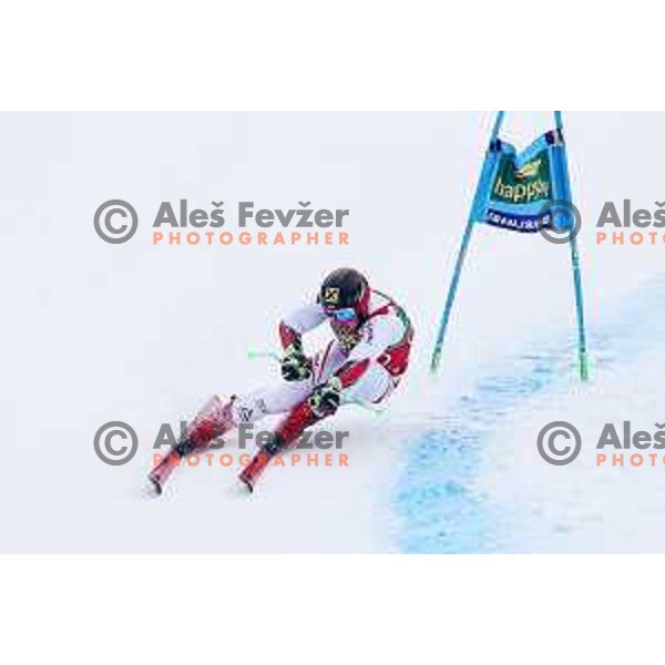 Marcel Hirscher (AUT), winner of AUDI FIS World Cup Giant Slalom for 57. Vitranc Cup in Kranjska gora, Slovenia on March 3, 2018