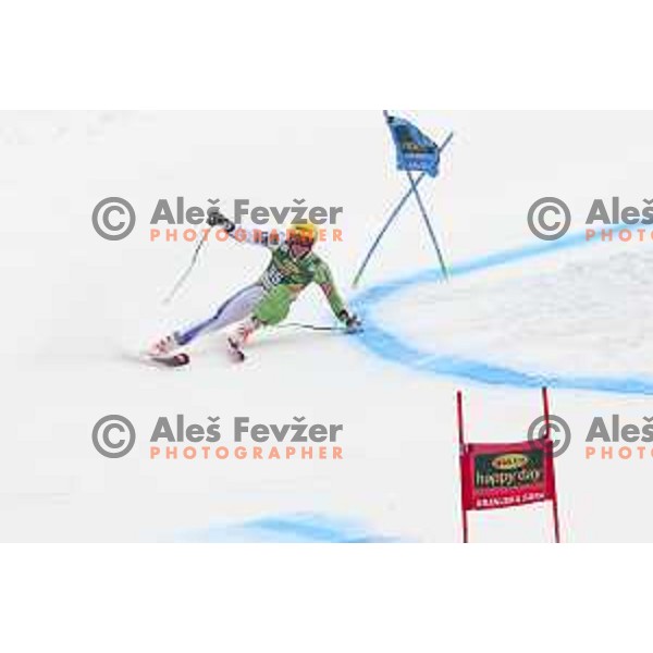 Stefan Hadalin (SLO) races at AUDI FIS World Cup Giant Slalom for 57. Vitranc Cup in Kranjska gora, Slovenia on March 3, 2018