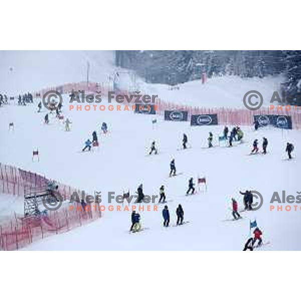 Course inspection before AUDI FIS World Cup Giant Slalom for 57. Vitranc Cup in Kranjska gora, Slovenia on March 3, 2018