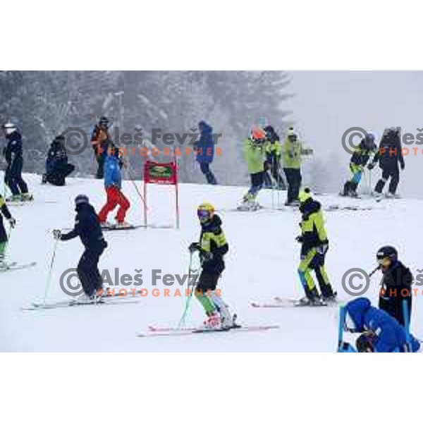 Stefan Hadalin (SLO) at Course inspection before AUDI FIS World Cup Giant Slalom for 57. Vitranc Cup in Kranjska gora, Slovenia on March 3, 2018