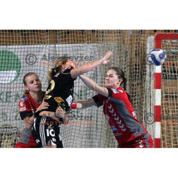 Varlec and Oven in defense at handball game Krim Mercator-Sevehof in EHF Champions league, played in Ljubljana 5.01.2008. Photo by Ales Fevzer 