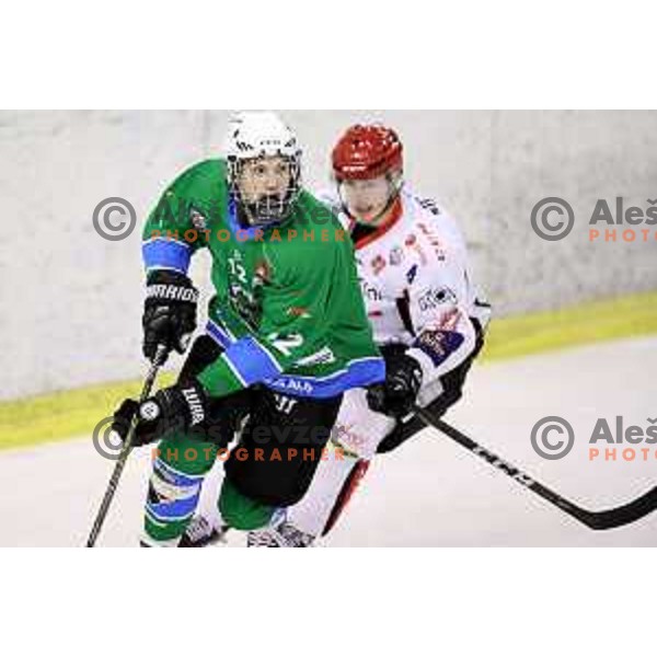 of SZ Olimpija in action during quarter-final of Alps League ice-hockey match between SZ Olimpija and Acroni Jesenice in Tivoli Hall, Ljubljana, Slovenia on March 8, 2018