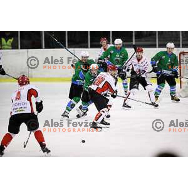 of SZ Olimpija in action during quarter-final of Alps League ice-hockey match between SZ Olimpija and Acroni Jesenice in Tivoli Hall, Ljubljana, Slovenia on March 8, 2018