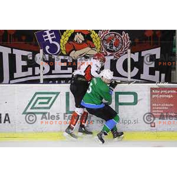 of SZ Olimpija in action during quarter-final of Alps League ice-hockey match between SZ Olimpija and Acroni Jesenice in Tivoli Hall, Ljubljana, Slovenia on March 8, 2018