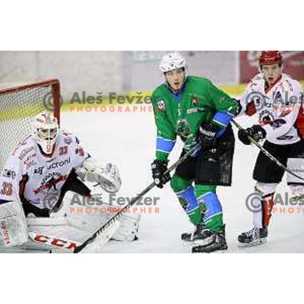 of SZ Olimpija in action during quarter-final of Alps League ice-hockey match between SZ Olimpija and Acroni Jesenice in Tivoli Hall, Ljubljana, Slovenia on March 8, 2018