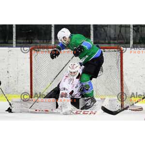 of SZ Olimpija in action during quarter-final of Alps League ice-hockey match between SZ Olimpija and Acroni Jesenice in Tivoli Hall, Ljubljana, Slovenia on March 8, 2018