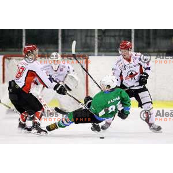 of SZ Olimpija in action during quarter-final of Alps League ice-hockey match between SZ Olimpija and Acroni Jesenice in Tivoli Hall, Ljubljana, Slovenia on March 8, 2018