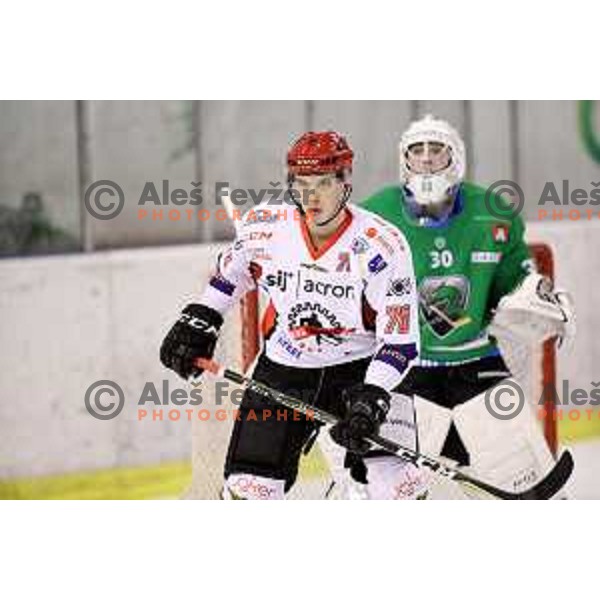 of SZ Olimpija in action during quarter-final of Alps League ice-hockey match between SZ Olimpija and Acroni Jesenice in Tivoli Hall, Ljubljana, Slovenia on March 8, 2018