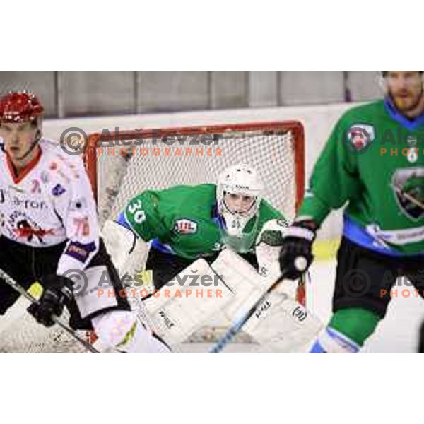 Tilen Spreizer of SZ Olimpija in action during quarter-final of Alps League ice-hockey match between SZ Olimpija and Acroni Jesenice in Tivoli Hall, Ljubljana, Slovenia on March 8, 2018