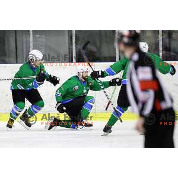 Andrej Hebar of SZ Olimpija in action during quarter-final of Alps League ice-hockey match between SZ Olimpija and Acroni Jesenice in Tivoli Hall, Ljubljana, Slovenia on March 8, 2018