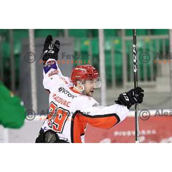 Aleksander Magovac celebrates goal during quarter-final of Alps League ice-hockey match between SZ Olimpija and Acroni Jesenice in Tivoli Hall, Ljubljana, Slovenia on March 8, 2018