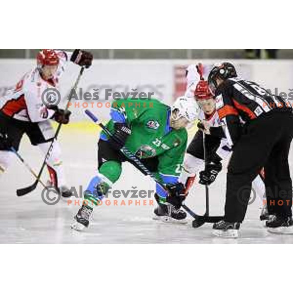 of SZ Olimpija in action during quarter-final of Alps League ice-hockey match between SZ Olimpija and Acroni Jesenice in Tivoli Hall, Ljubljana, Slovenia on March 8, 2018