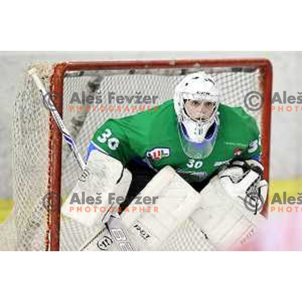 Tilen Spreizer of SZ Olimpija in action during quarter-final of Alps League ice-hockey match between SZ Olimpija and Acroni Jesenice in Tivoli Hall, Ljubljana, Slovenia on March 8, 2018