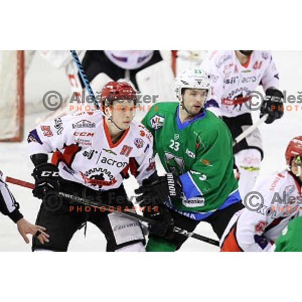 of SZ Olimpija in action during quarter-final of Alps League ice-hockey match between SZ Olimpija and Acroni Jesenice in Tivoli Hall, Ljubljana, Slovenia on March 8, 2018