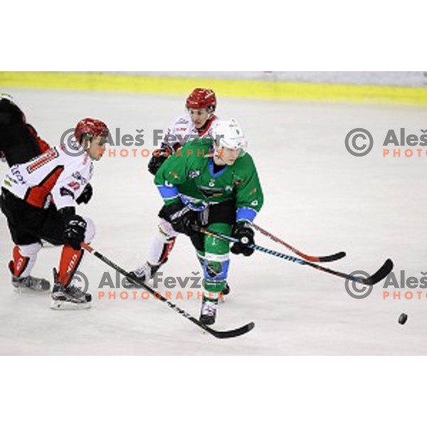 of SZ Olimpija in action during quarter-final of Alps League ice-hockey match between SZ Olimpija and Acroni Jesenice in Tivoli Hall, Ljubljana, Slovenia on March 8, 2018