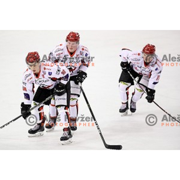 of SZ Olimpija in action during quarter-final of Alps League ice-hockey match between SZ Olimpija and Acroni Jesenice in Tivoli Hall, Ljubljana, Slovenia on March 8, 2018