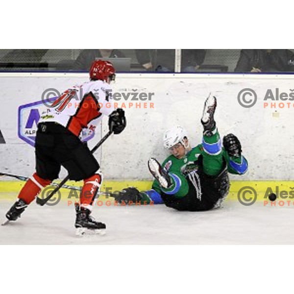 Kristjan Cepon of SZ Olimpija in action during quarter-final of Alps League ice-hockey match between SZ Olimpija and Acroni Jesenice in Tivoli Hall, Ljubljana, Slovenia on March 8, 2018