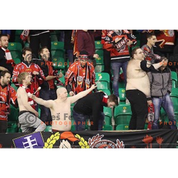 of SZ Olimpija in action during quarter-final of Alps League ice-hockey match between SZ Olimpija and Acroni Jesenice in Tivoli Hall, Ljubljana, Slovenia on March 8, 2018