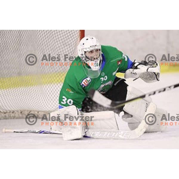 of SZ Olimpija in action during quarter-final of Alps League ice-hockey match between SZ Olimpija and Acroni Jesenice in Tivoli Hall, Ljubljana, Slovenia on March 8, 2018