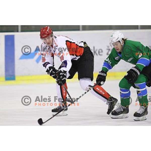 Adis Alagic in action during quarter-final of Alps League ice-hockey match between SZ Olimpija and Acroni Jesenice in Tivoli Hall, Ljubljana, Slovenia on March 8, 2018