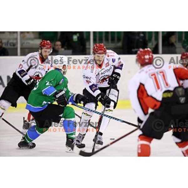 of SZ Olimpija in action during quarter-final of Alps League ice-hockey match between SZ Olimpija and Acroni Jesenice in Tivoli Hall, Ljubljana, Slovenia on March 8, 2018