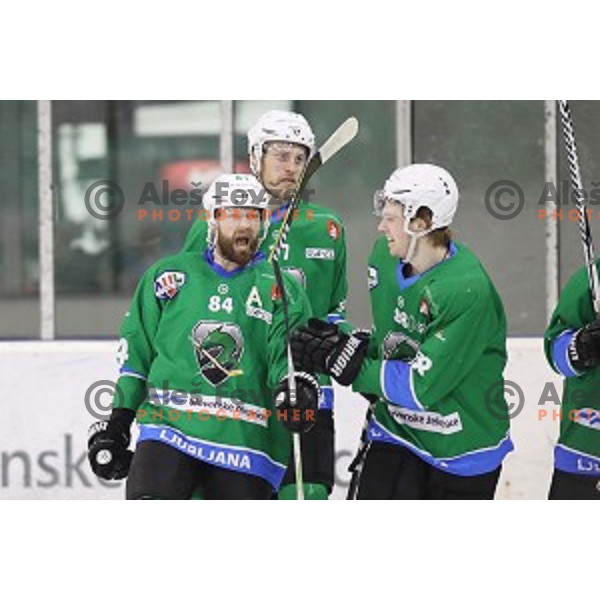 of SZ Olimpija in action during quarter-final of Alps League ice-hockey match between SZ Olimpija and Acroni Jesenice in Tivoli Hall, Ljubljana, Slovenia on March 8, 2018