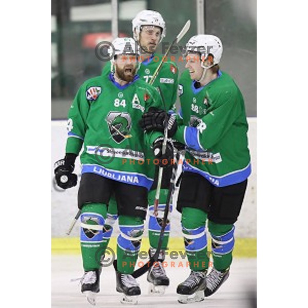of SZ Olimpija in action during quarter-final of Alps League ice-hockey match between SZ Olimpija and Acroni Jesenice in Tivoli Hall, Ljubljana, Slovenia on March 8, 2018
